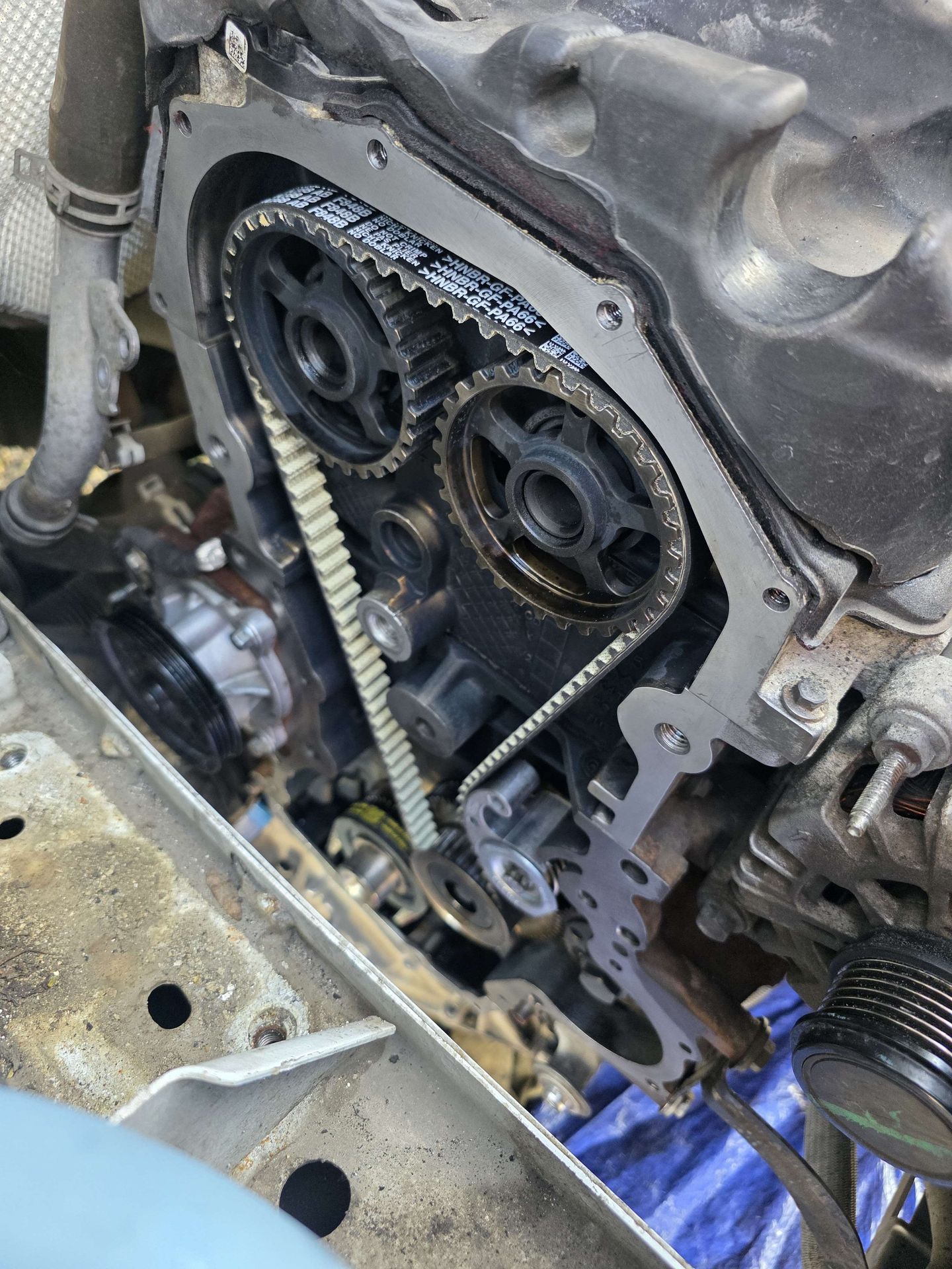 A fresh timing belt fitted during a Stone Auto repair