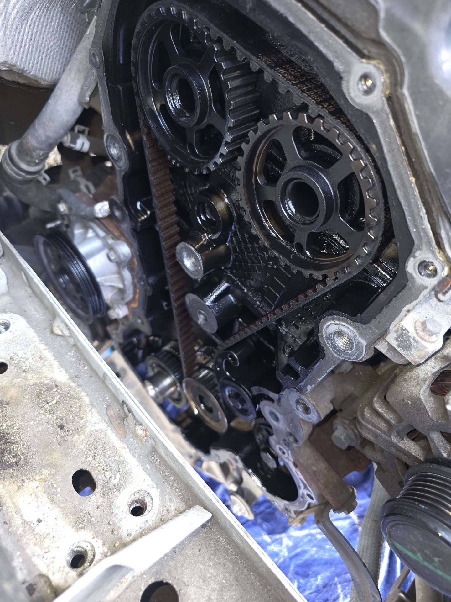 Camshaft timing gears exposed during a Ford wet belt replacement